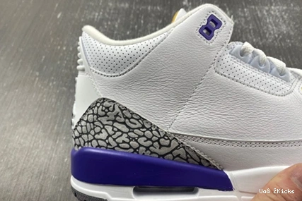 Kobe Retro 3  Jordan 2589 PE 354 869802- Refined Bryant 1103